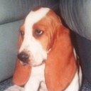 Chris Mangano - @cmmango1993 - Twitter