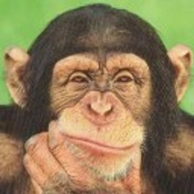 hughesie's profile image