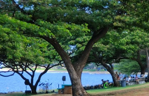 KinaoleAcademy's profile picture. A Christian Homeschooling Support Group that offers recreational, social, academic, and service opportunities in the name of Love.