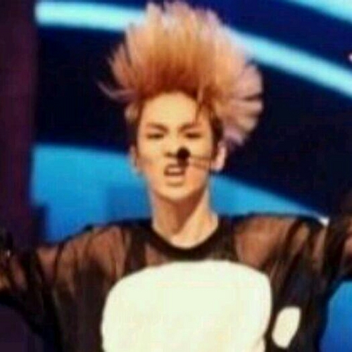 生まれたばかりのSHINee.KEY botです｡本人様と同じように愛されるbotを目指します :D 楽しいことが大好きだよ~！kkk フォローしたら@！さよならはブロック。これ絶対ね。 start 2012.05.03