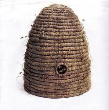 Buzzing about, taking care of my bee.