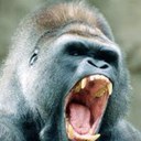 Daniel Brinton - @AZEglsfn - Twitter