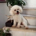 elia castro - @eliacastro2 - Twitter