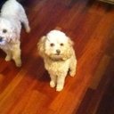 Eli Manning - Estes - @Eli_Estes08 - Twitter