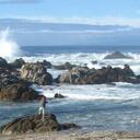 Bonnie Stalker - @chillpill124 - Twitter