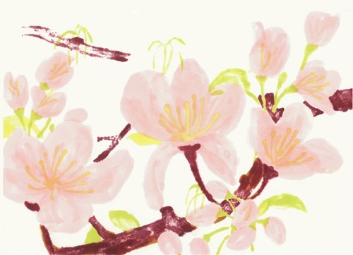 mnybbb's profile picture. 