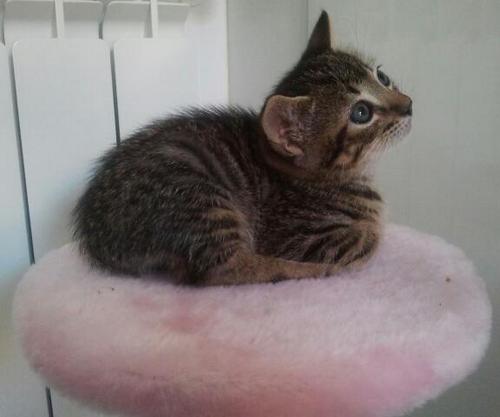 anaimamu's profile picture. 