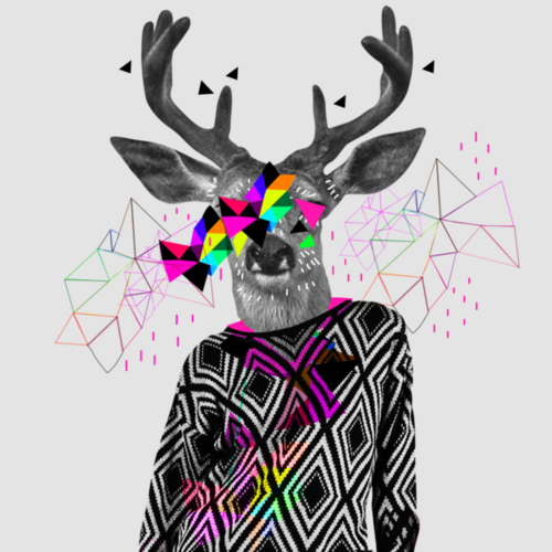 amenoke's profile picture. Information · Communication · Service public