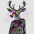 amenoke's profile image