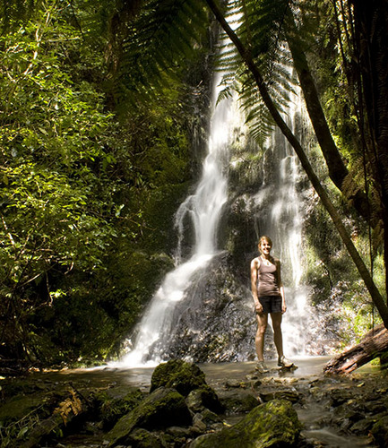 blonde_bat's profile picture. Have realised most people write something informative here, so here goes: Teacher, Mamma, eater of all the foods, not a good tweeter.