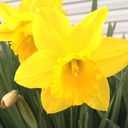 Suzanne Schulz - @SchulzSuzanne - Twitter