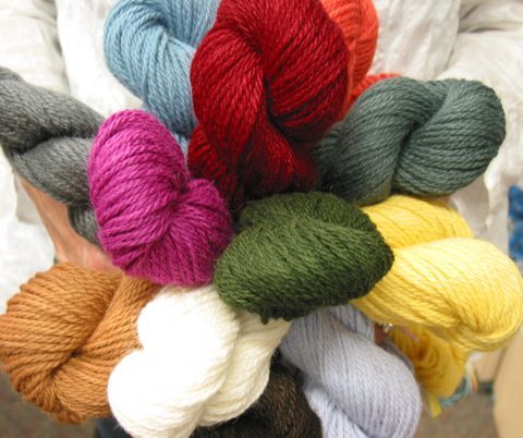 LYS where the help, encouragement & opinions are always free! This luxury yarn shop has been in business 28 years. Second home of The Know It All Divas.