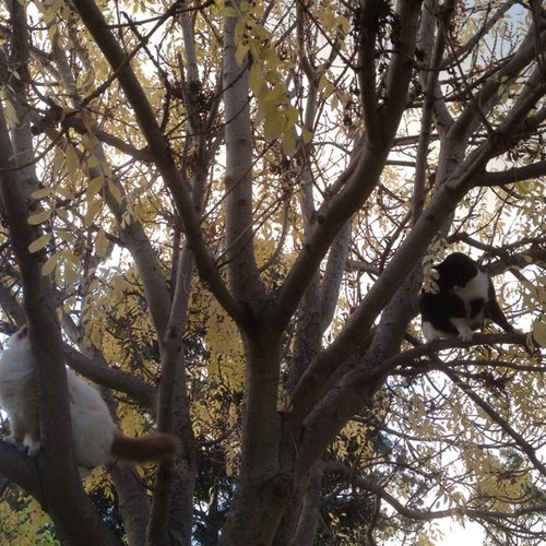 KarynLeh's profile picture. 