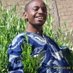 AKINOLA OLAYINKA (@laraomo) Twitter profile photo