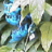 as_a_base's profile image