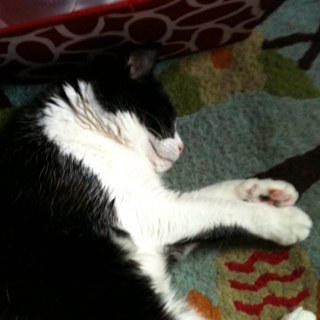 TBR367's profile picture. Just remember this: Evil has no boundaries. Power corrupts & Absolute power corrupts absolutely. My favorite saying:  Lies, Damn Lies & Statistics.