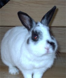 DesyKlein's profile picture. 