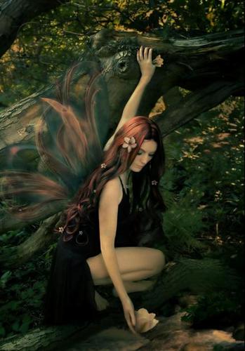 annedelphi's profile picture. .