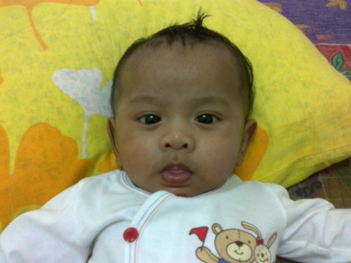 pijan85's profile picture. 