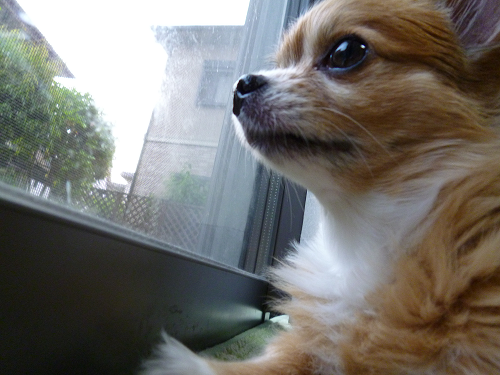 gjgjgj12341234's profile picture. 日常に思ったこと
不思議なこと
などなど、てきとーにつぶやきます。
フォローは返します。
ふぉろーよろ。
だるくなったらブロックしてください。