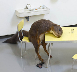 IvanKrasny's profile picture. 