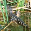 William Rieger - @willrieger - Twitter