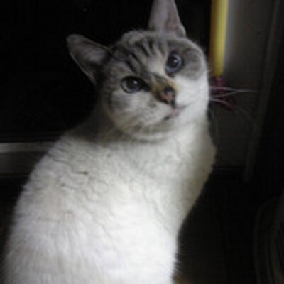 lowfat_asigaru's profile image