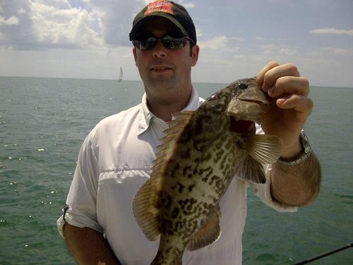 fmwhiteway's profile picture. 