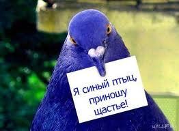 Взаимный фолловинг, followback #followback autofollow Люблю спорт, кино и девушек! Последнее особенно)