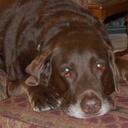 Buck Benton - @BuckyBenton - Twitter