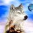SandiHowland21's profile image