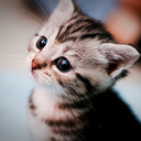 Tyler Crook - @tcrook5 - Twitter