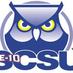 SCSU Swim and Dive (@scsuswim) Twitter profile photo