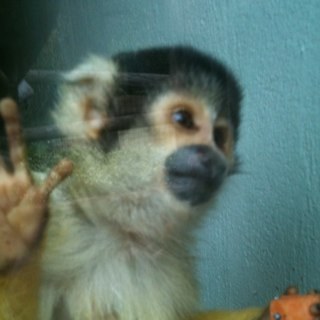 GretaIlieva's profile picture. Taking photos when it's sunny!