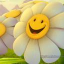 rosa paul barroso - @rosapaulbarroso - Twitter