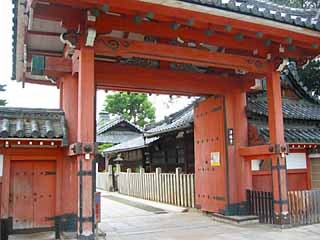 京都の西陣にある浄土宗　浄福寺の住職　菅原好規です。菩提樹・沙羅双樹・絵解き法話の寺です。　　　　　　　　　　　　　　　　　　　　　　　　　　　　　　三国伝来のお釈迦さまは　毎月25日　午後2時～4時　御開帳(現在お休みさせて頂いてます)