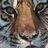 Bosman71's profile image
