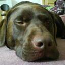 Beth Lundy - @Betty3ll - Twitter