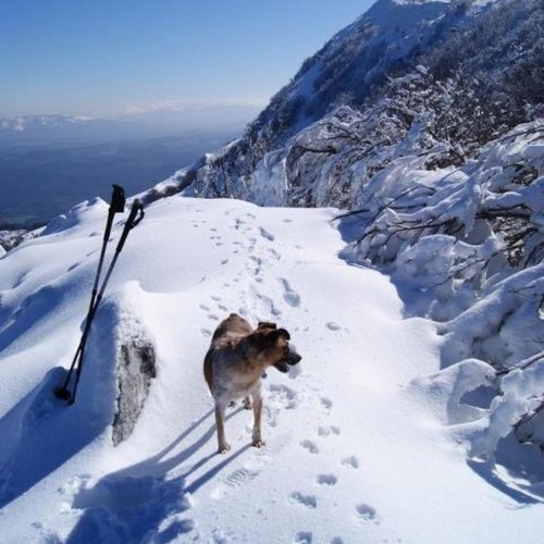 sergioac12's profile picture. 