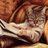 Poochsmommy's profile image