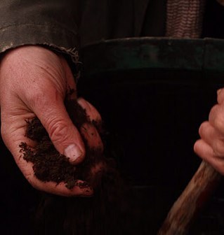 BiodinamicaGC's profile picture. Grupo de Agricultura Biodinámica de Gran Canaria