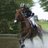 sinead_c_Halpin's profile image