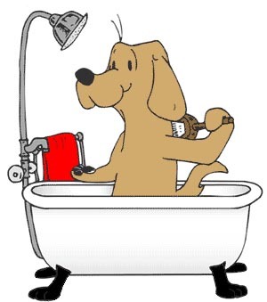 Give Your Dog A Groom - Caldicot's 1st fully equipped dog grooming salon, Prices from just £10 Call/Email or send us a tweet to book