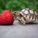 Tiffany Coll - @TiffanyColl1 - Twitter