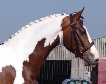 Debby_McDowall's profile picture. 