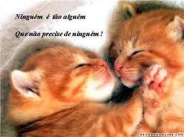 me seguem ai gente por favor e eu sigo de volta ok !tenho 14 aninhus sou colorada de cora;ao S2 amo meus amigos adoro andar de bike e jogar volei bjs vanessa