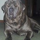 Ray Cullen - @RayCullenF1 - Twitter