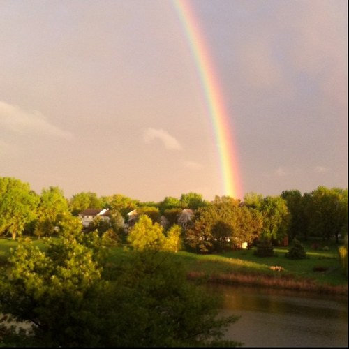 SarahKCD's profile picture. 