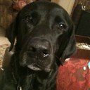 Ellen Herron - @ellenherron - Twitter