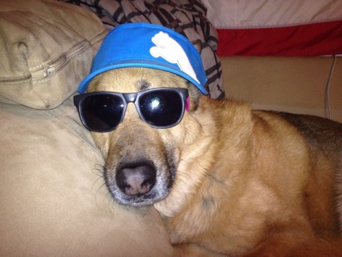 drderv's profile picture. 